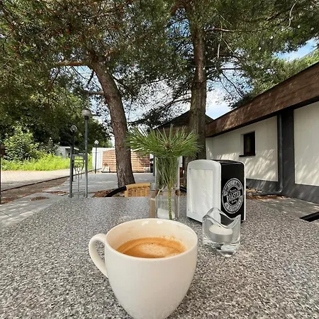 Lesny Zakatek Łódź